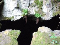 otta Intraleo-20100515 021